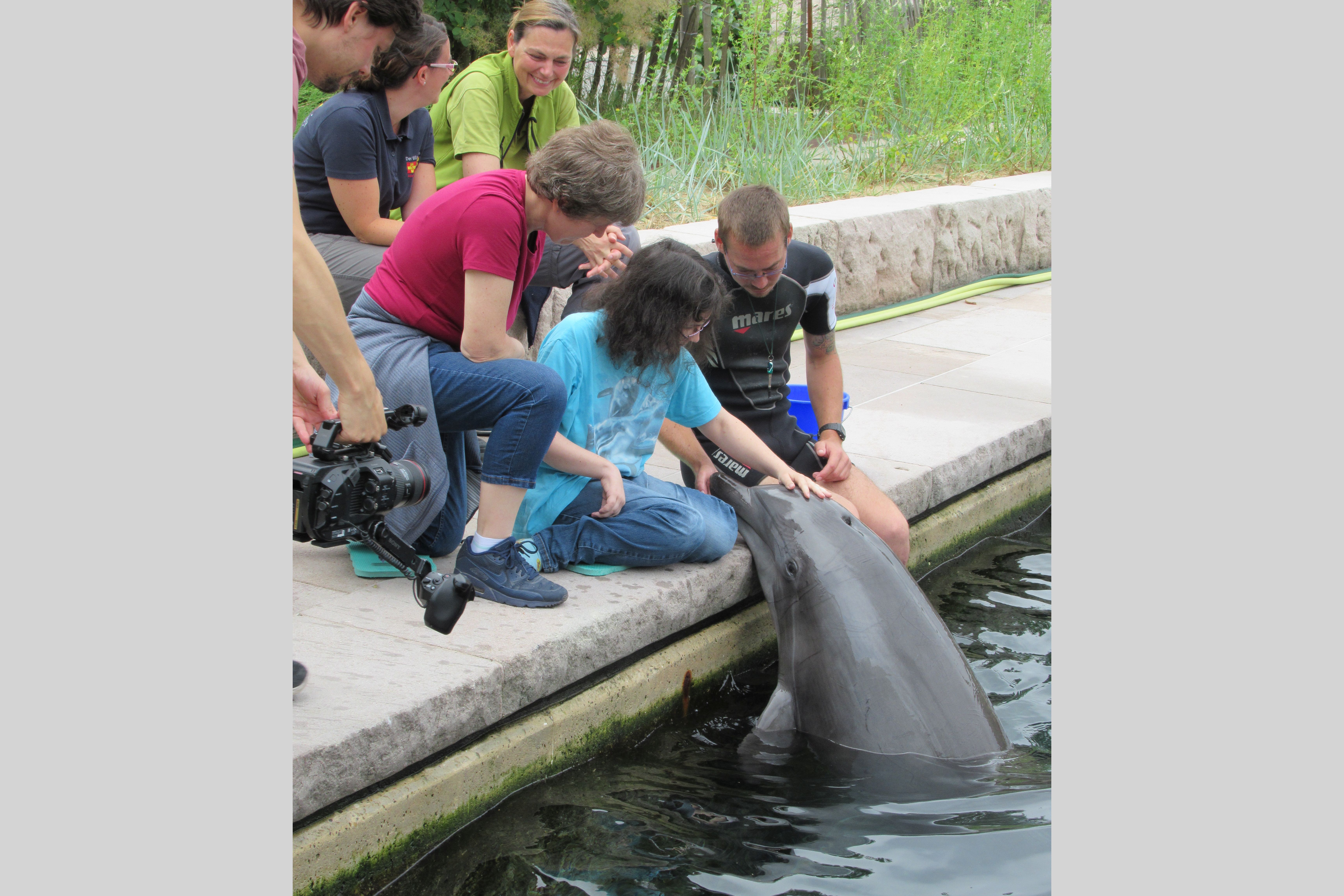 Einmal noch...einen Delphin streicheln