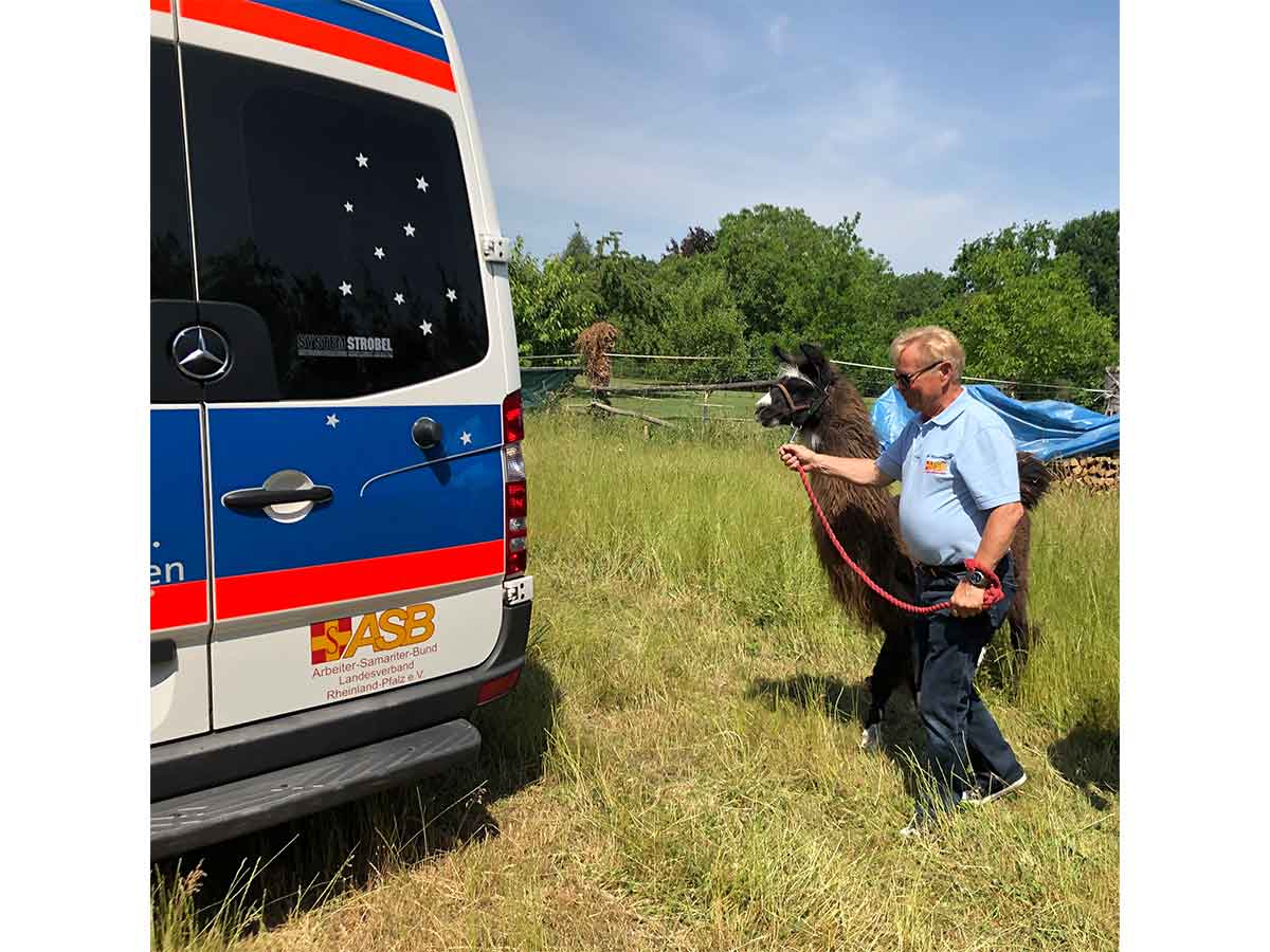 Ein Tag bei den Pfälzer Lamas