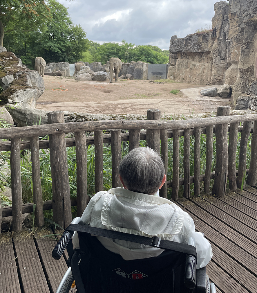 Wunschfahrt in den Zoo Duisburg