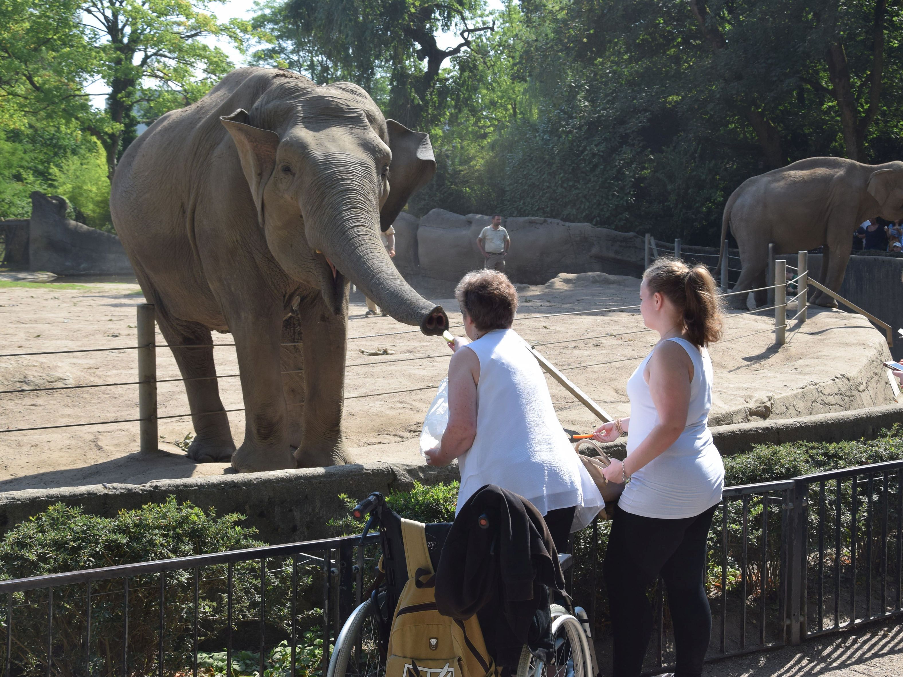 Einmal noch in den Tierpark