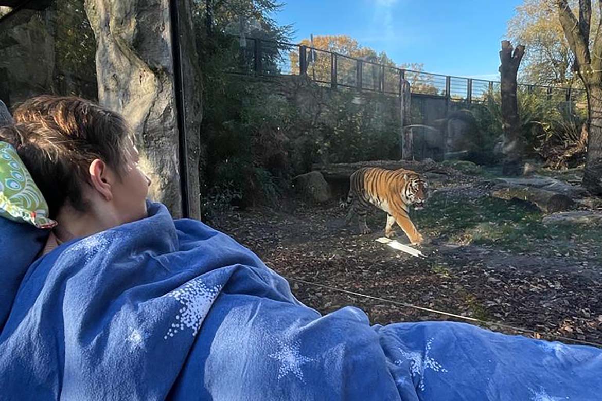 Wunschfahrt zum Allwetterzoo in Münster