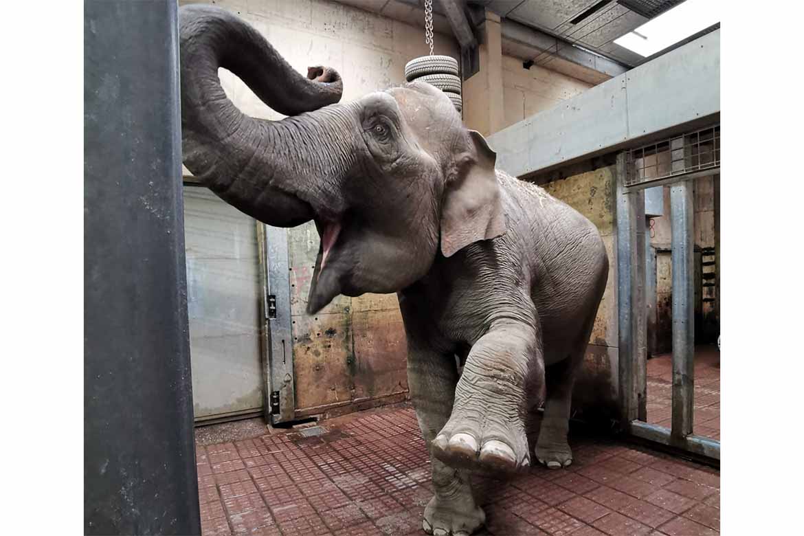 Wunschfahrt zum Allwetterzoo in Münster