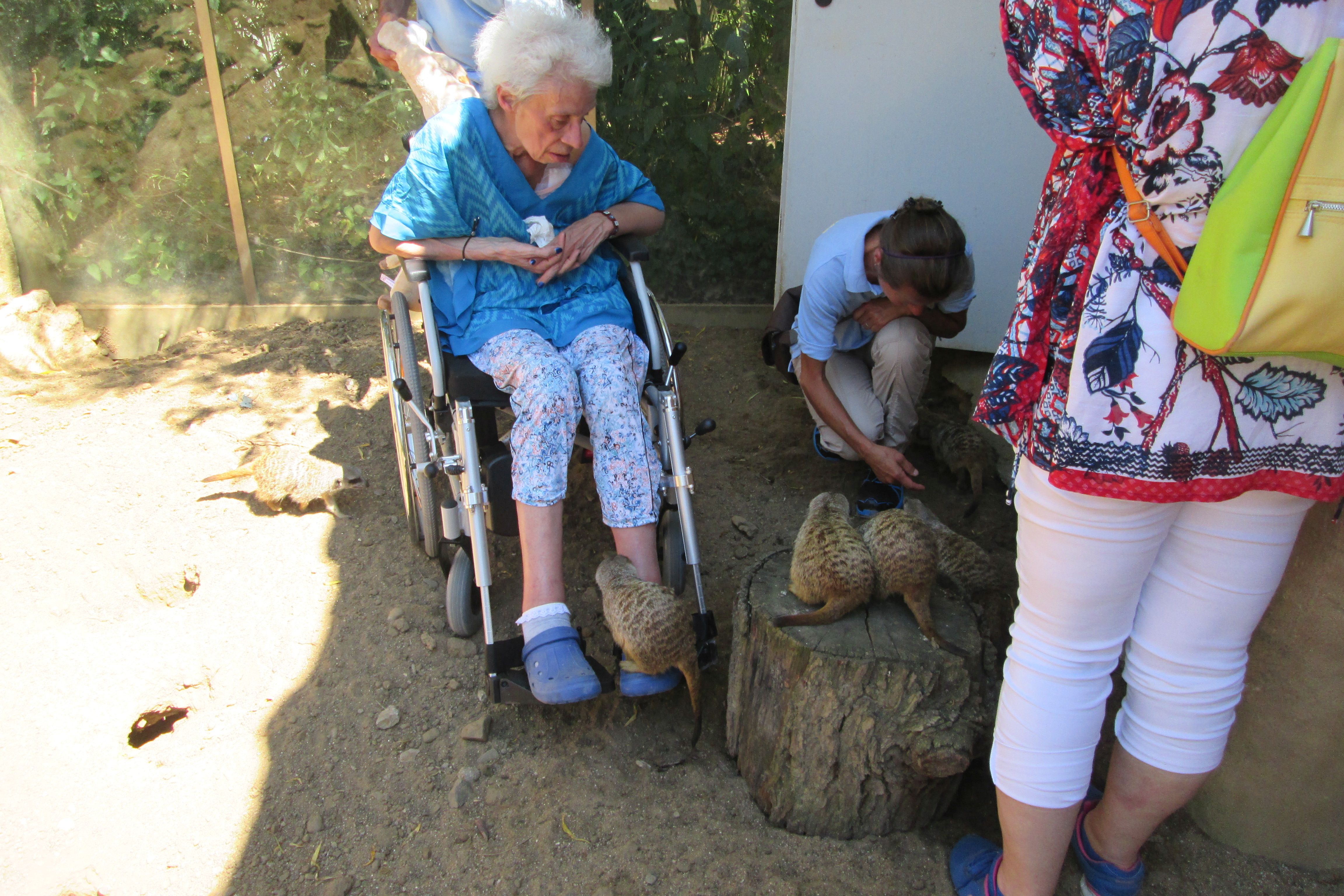 Dagmar in der ZOOM Erlebniswelt.jpg