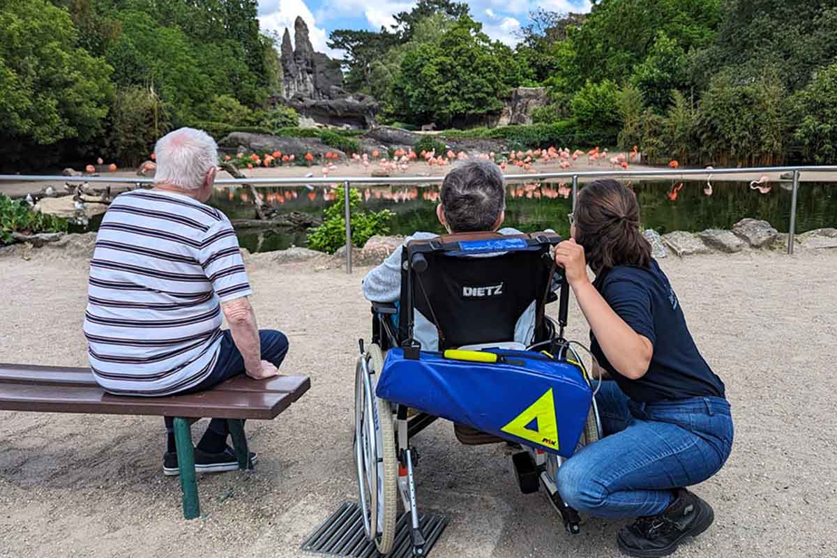 Wunschfahrt in den Hamburger Zoo