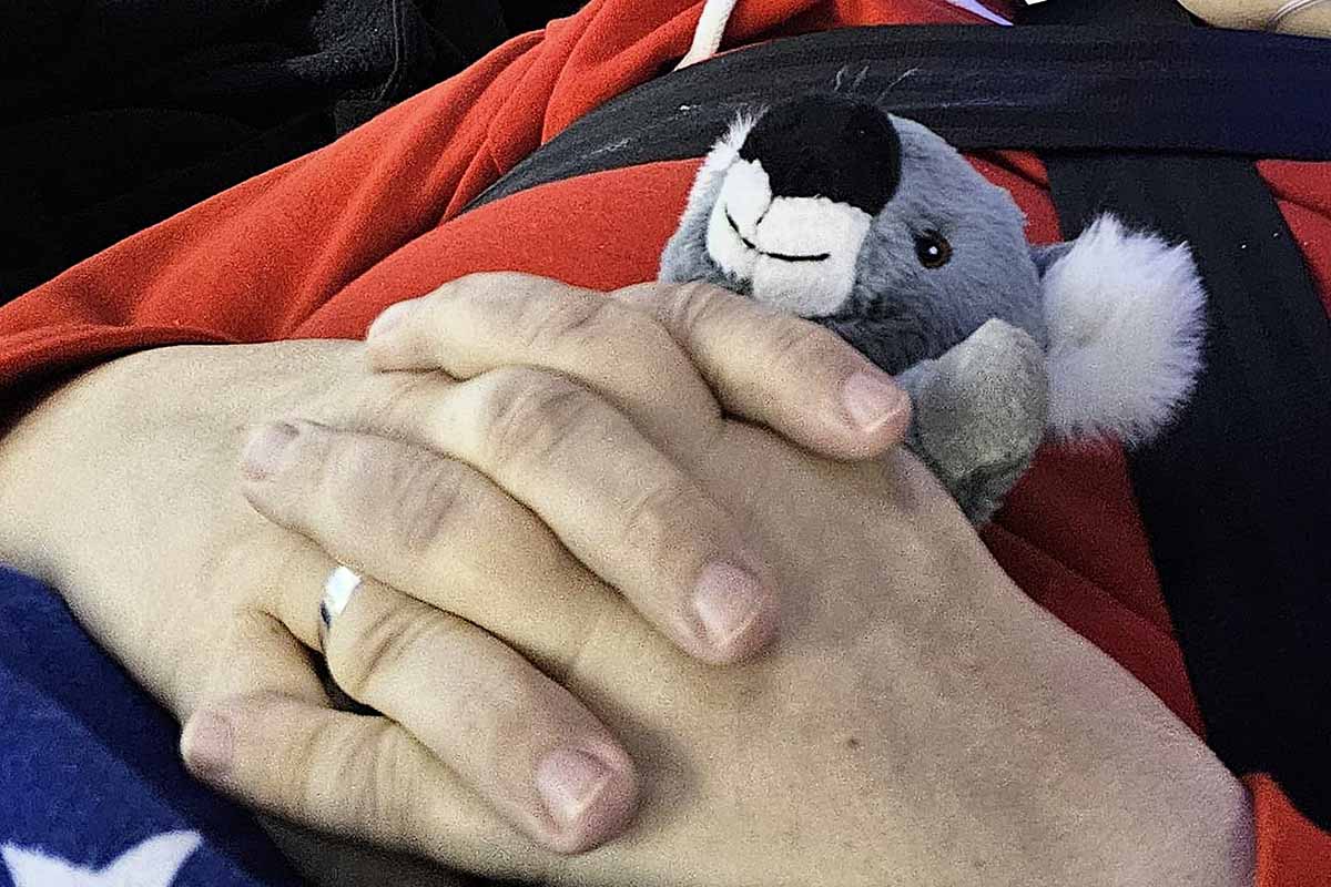 Einmal im Leben einen echten Koala sehen... 