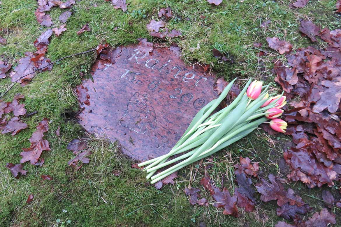 ASB-SH-Wunschfahrt-Friedhof-Bergedorf_03.jpg