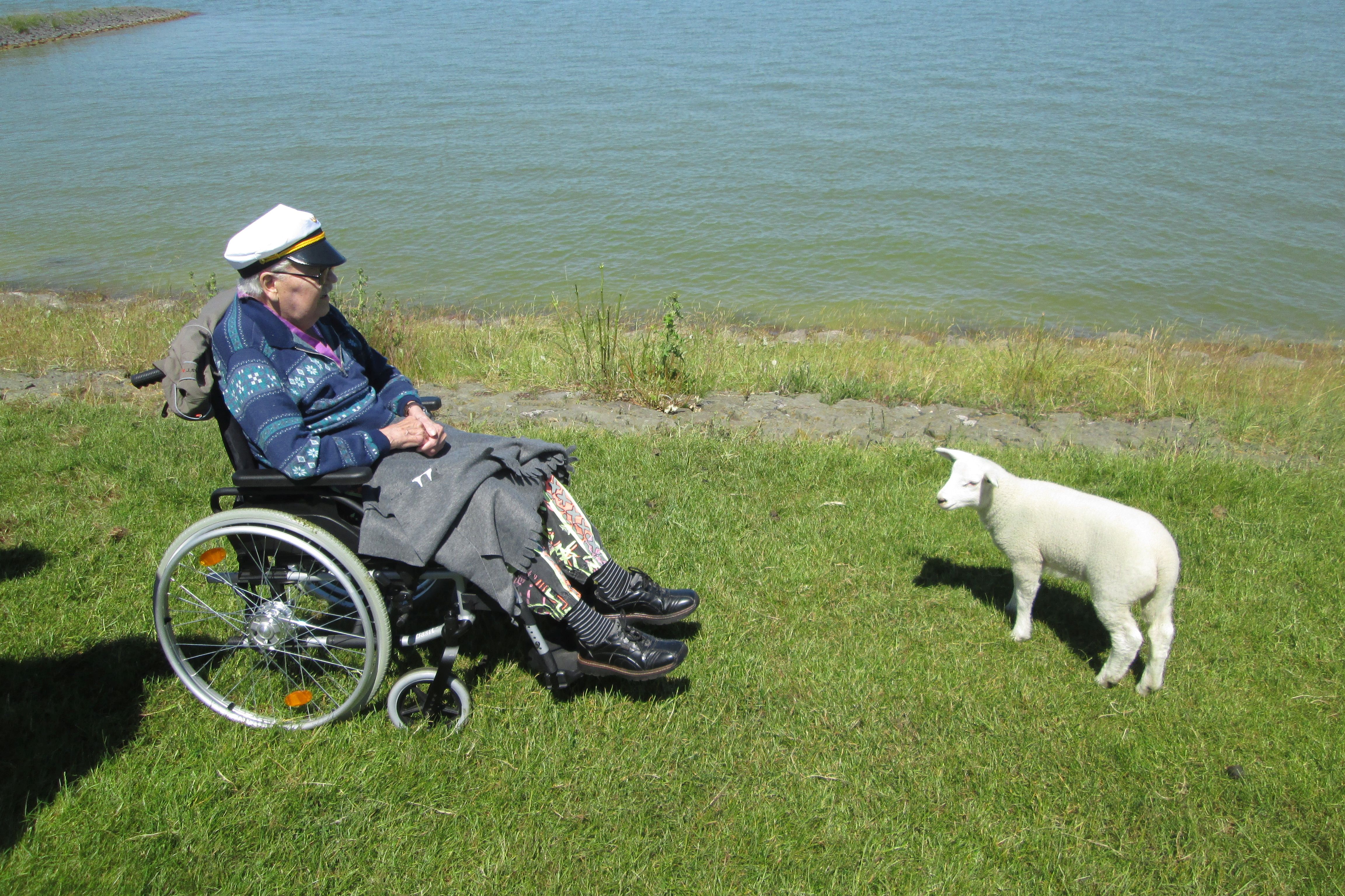 Segelboote am Ijsselmeer beobachten.jpg