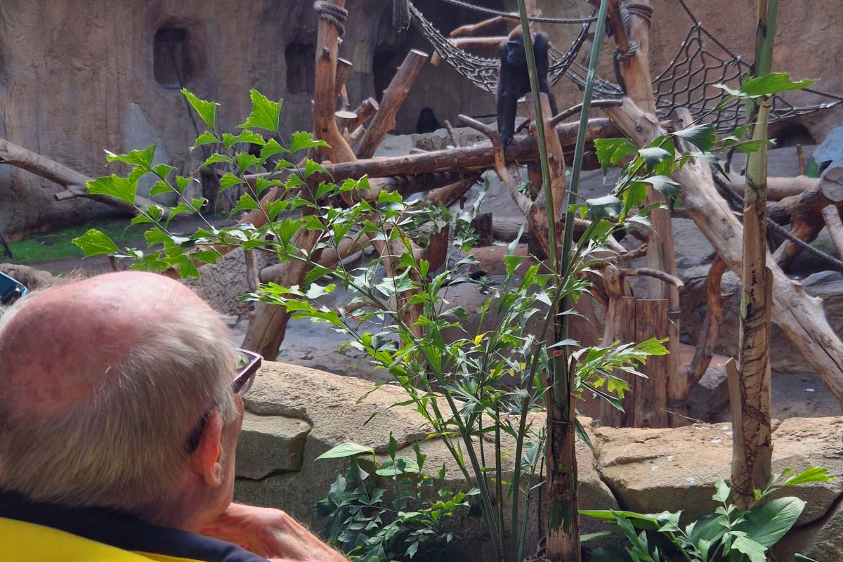 Wunschfahrt in den Zoo Leipzig