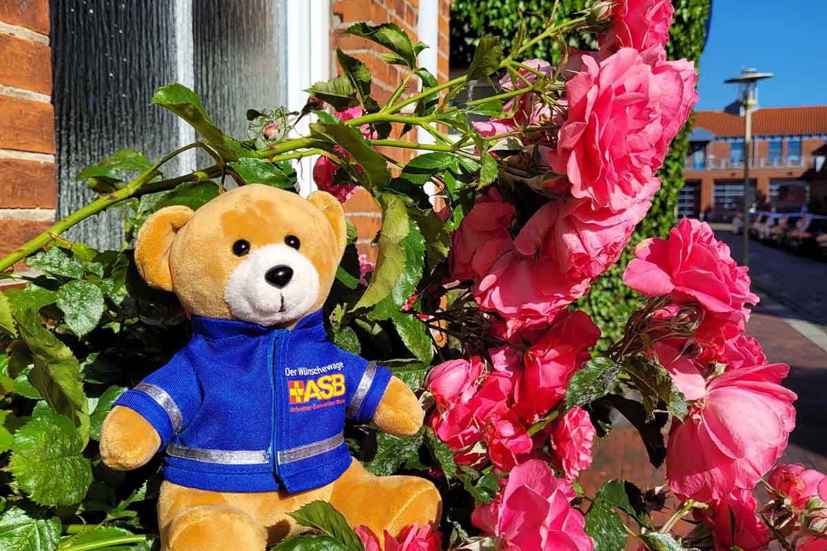 Mit 26 Jahren noch einmal das Elternhaus besuchen und den Garten genießen…