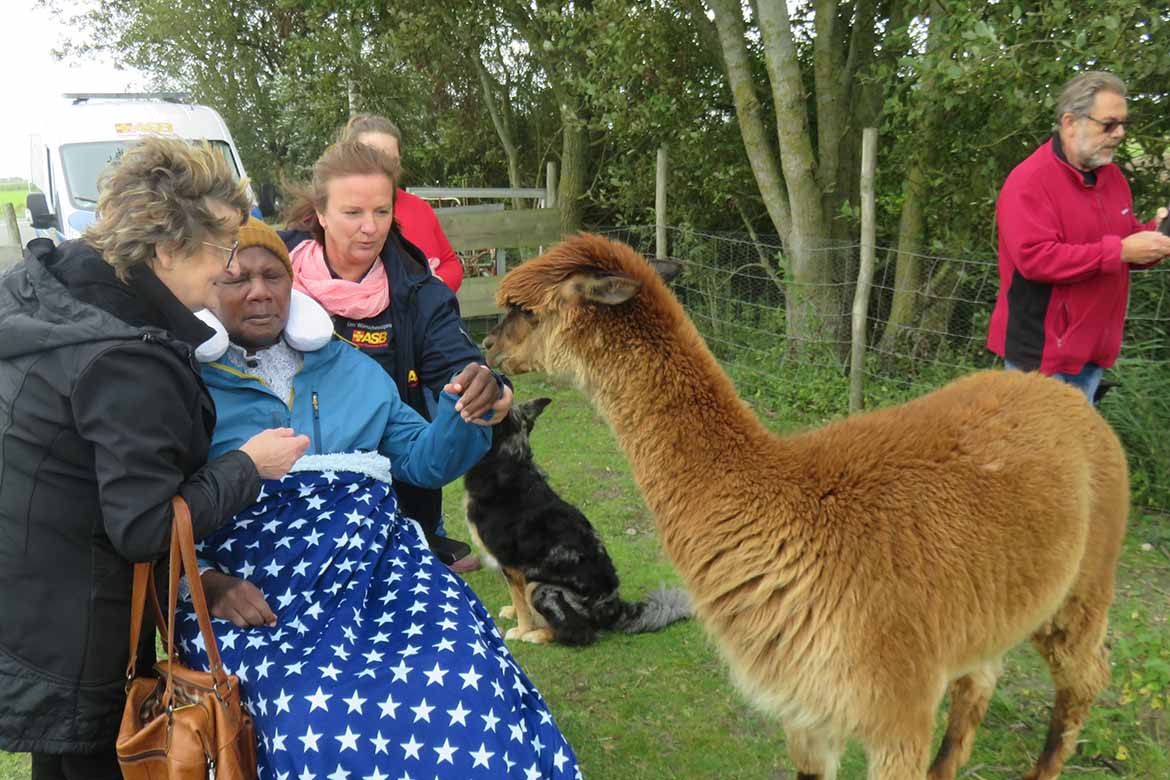 Kenneth zu Besuch auf dem Alpaka-Hof…