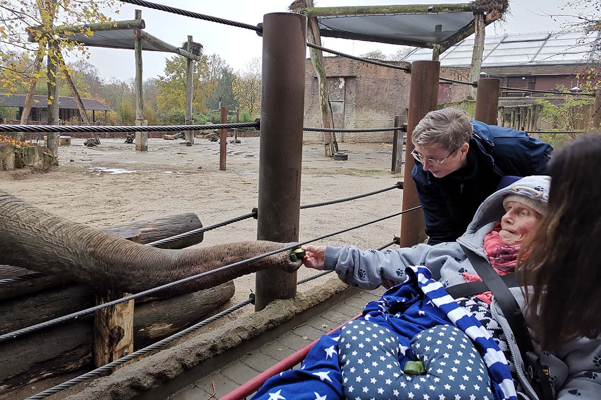 Fahrt zum Allwetterzoo Münster