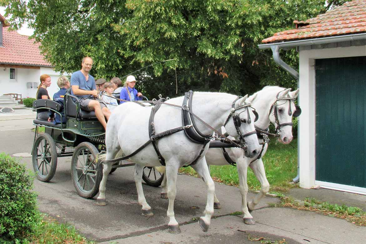 Wunschfahrt zum Pferdehof