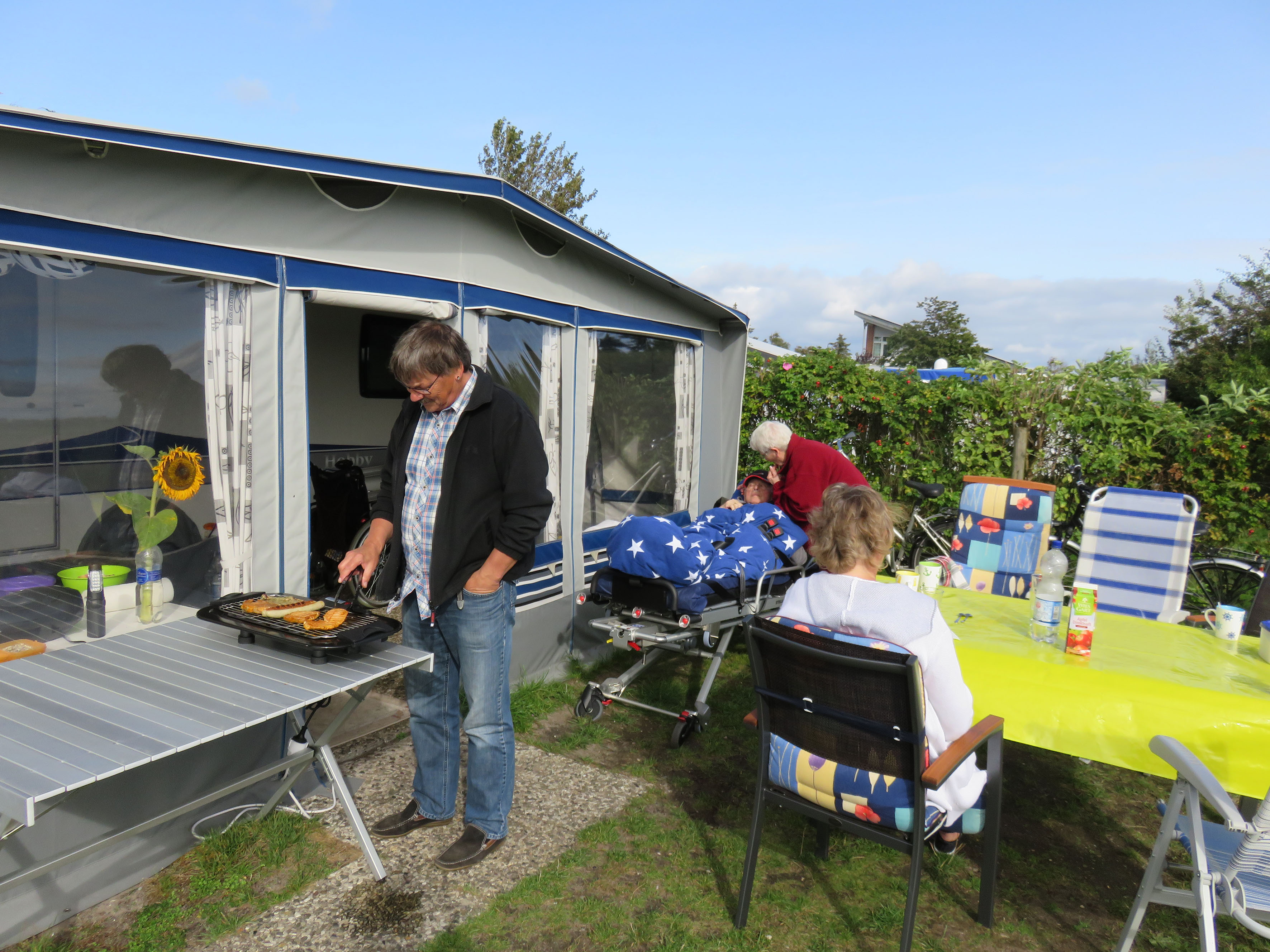 Willi auf Fehmarn