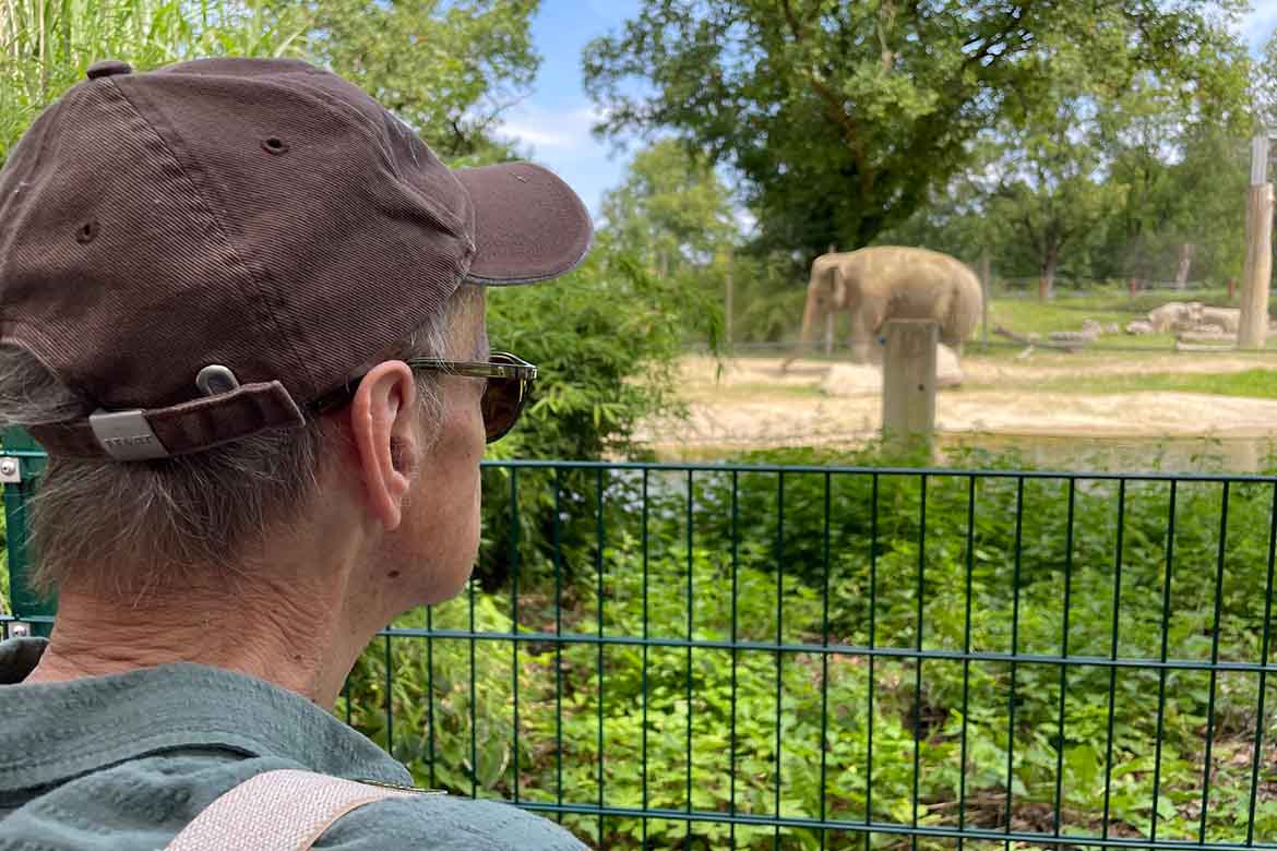 Wunschfahrt zum Zoo Augsburg