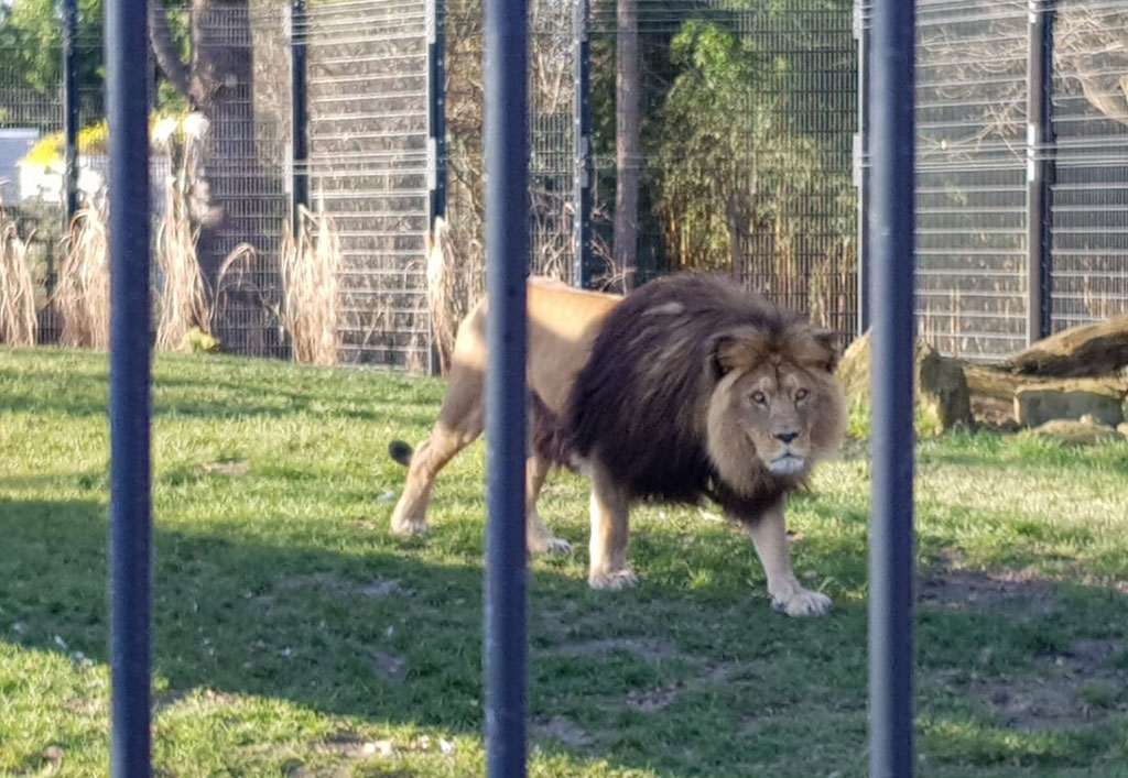 Ein Besuch im Heidelberger Zoo