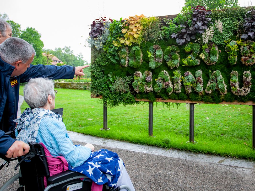 Wünschewagen-Allgäu-Blumeninsel-Mainau-Letzte-Wünsche-wagen-4.jpg