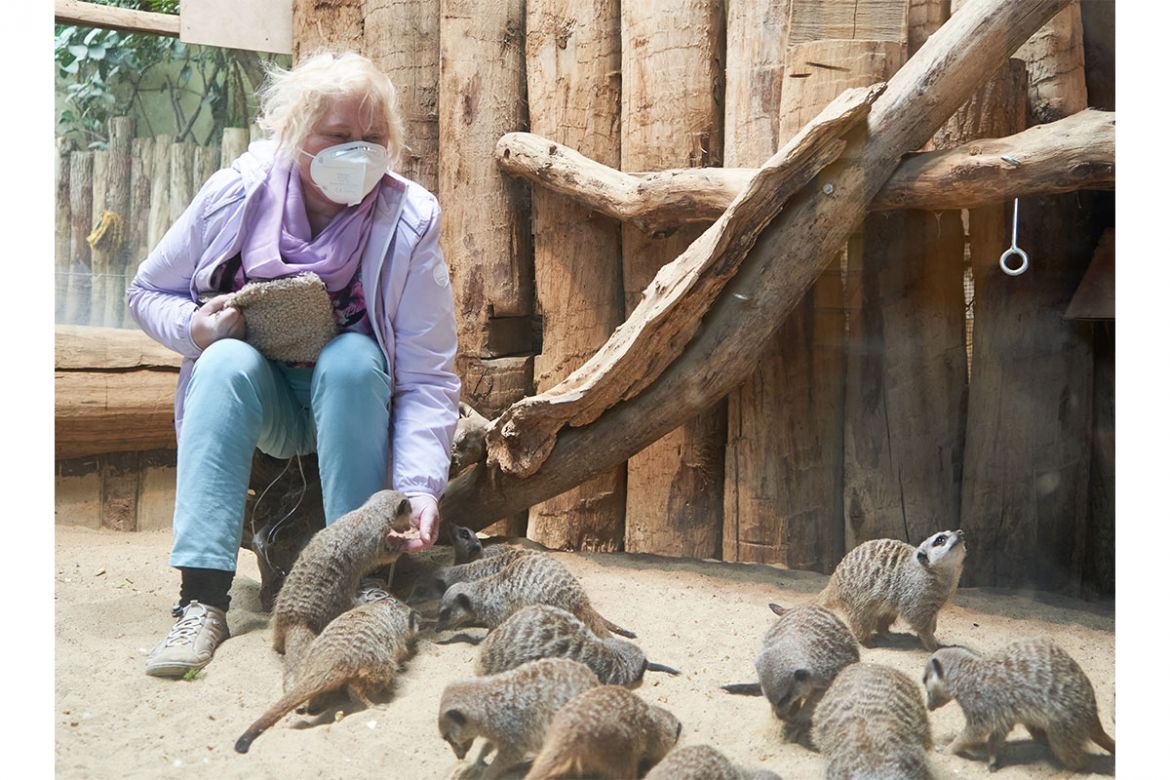 Allwetter-Zoo-Münster1.jpg