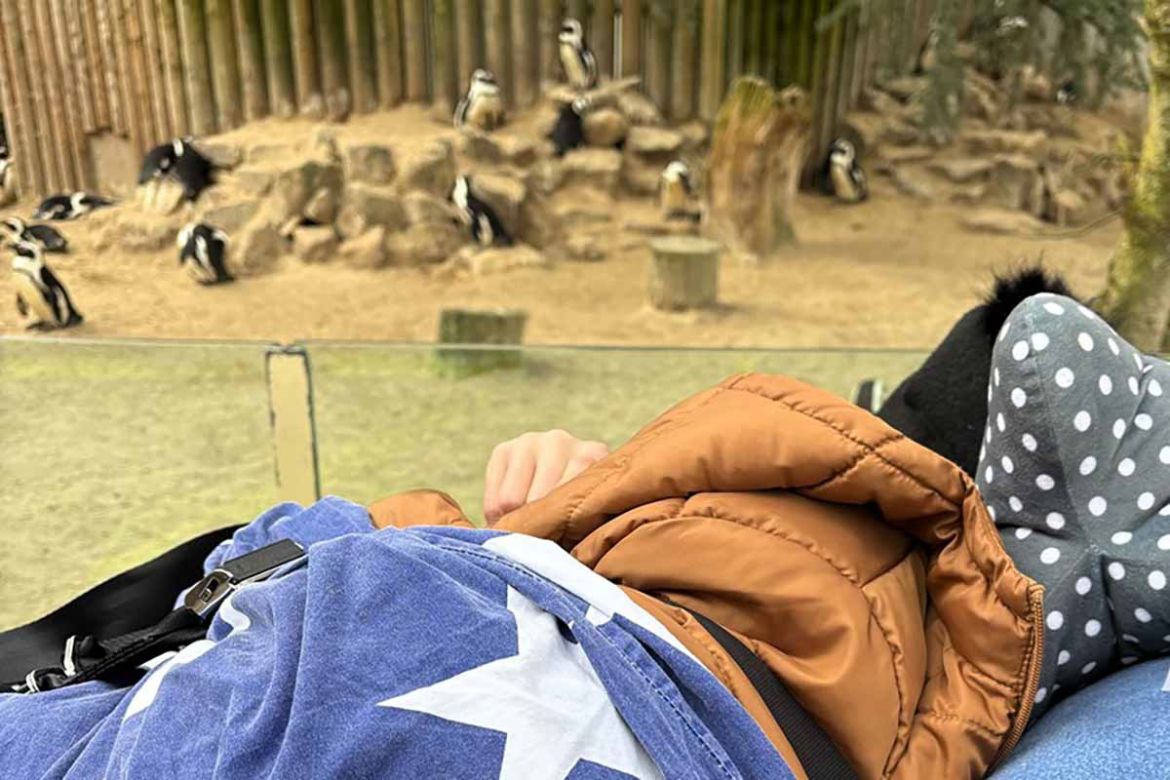 Vor dem Pinguingehege.jpg