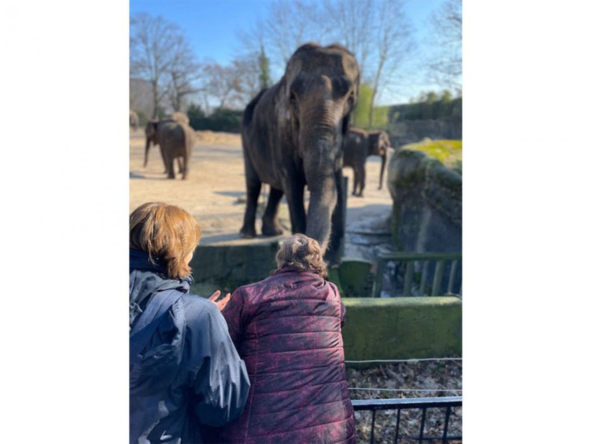 Wunschfahrt-Hagenbeck.jpg