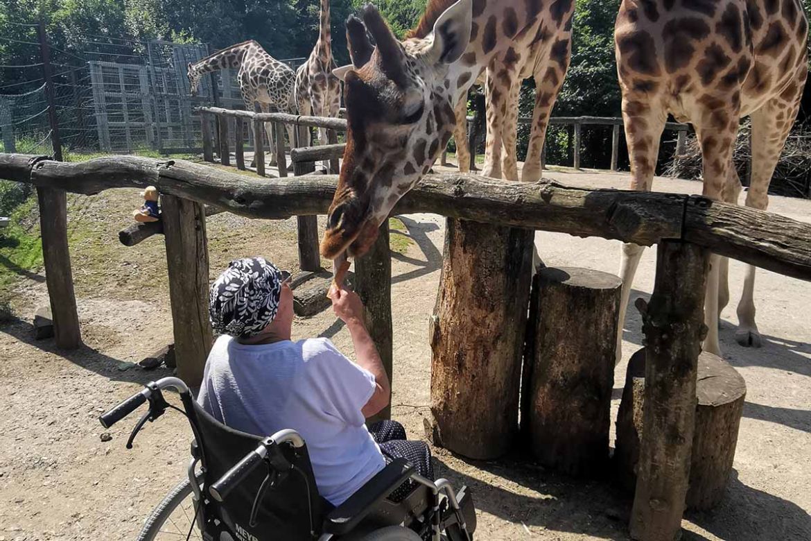 Fahrgast mit Giraffe.jpg