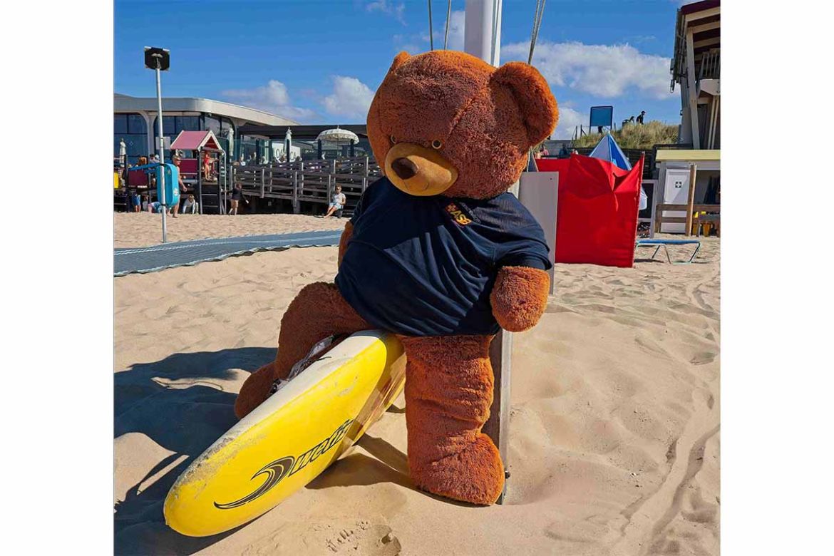 Teddy am Strand.jpg