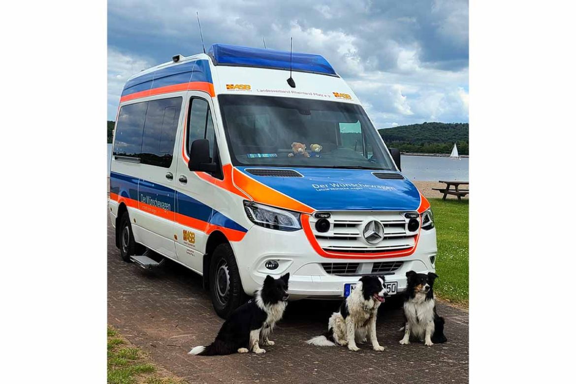 Hunde vor dem Wünschewagen.jpg