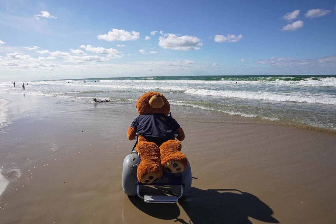Teddy im Rollstuhl am Strand.jpg