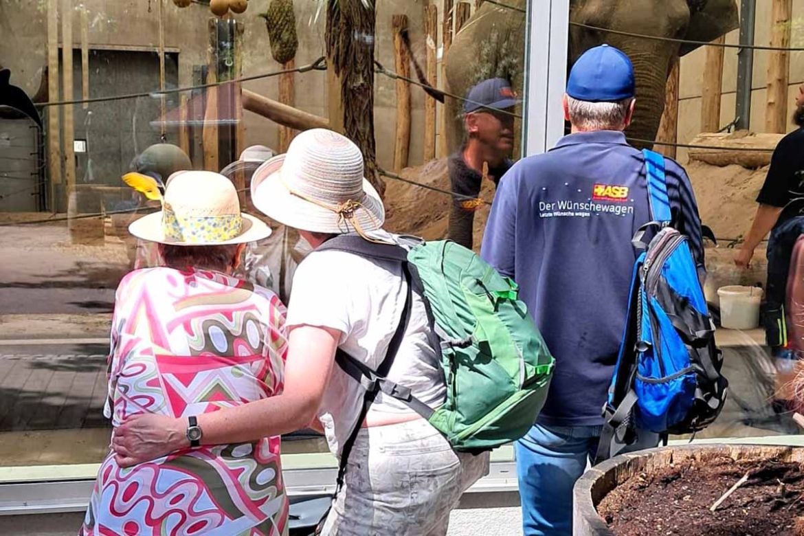 Gehege anschauen.jpg