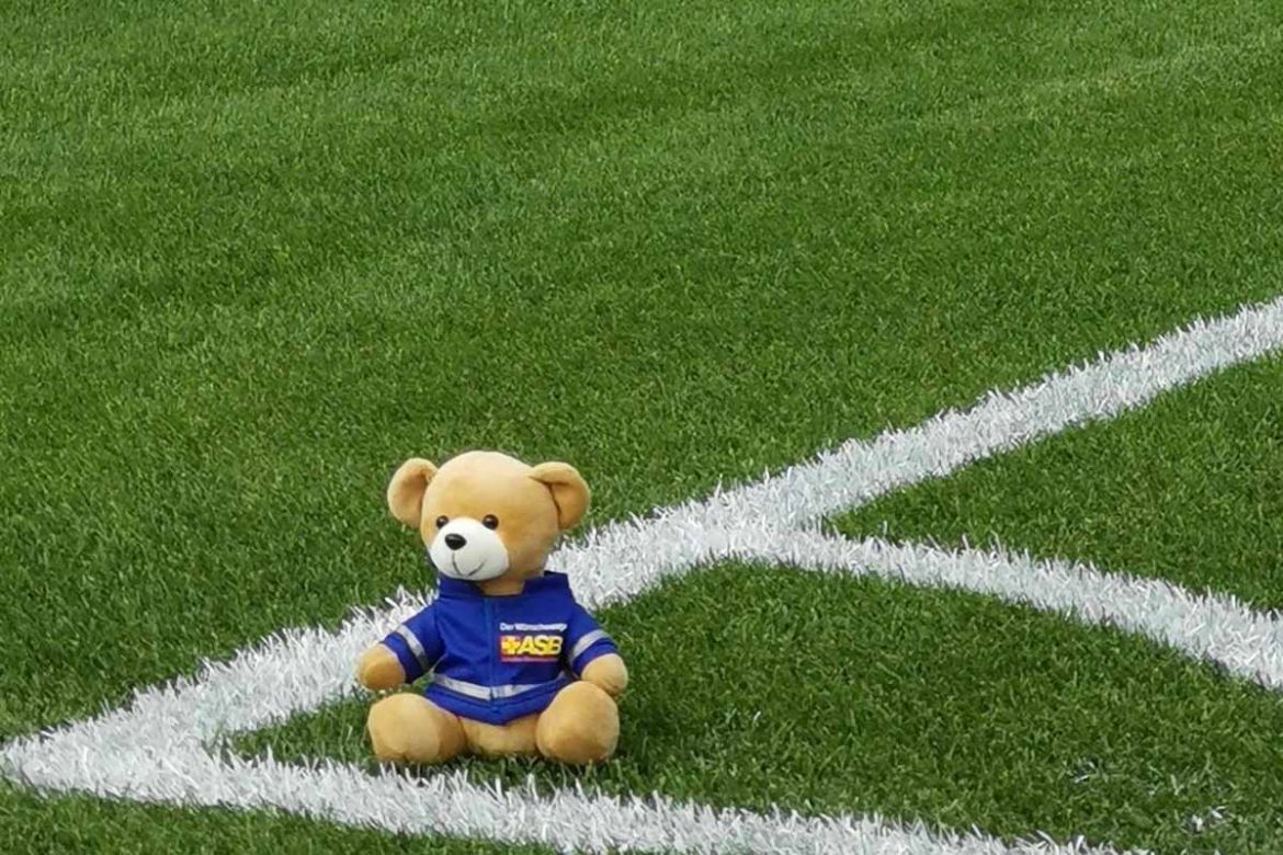 Teddy auf Feld.jpg