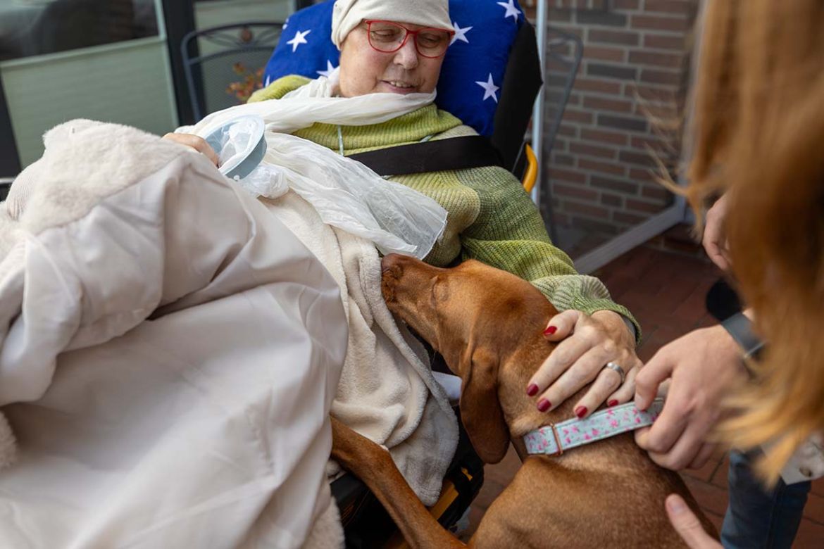 Fahrgast streichelt Hund.jpg