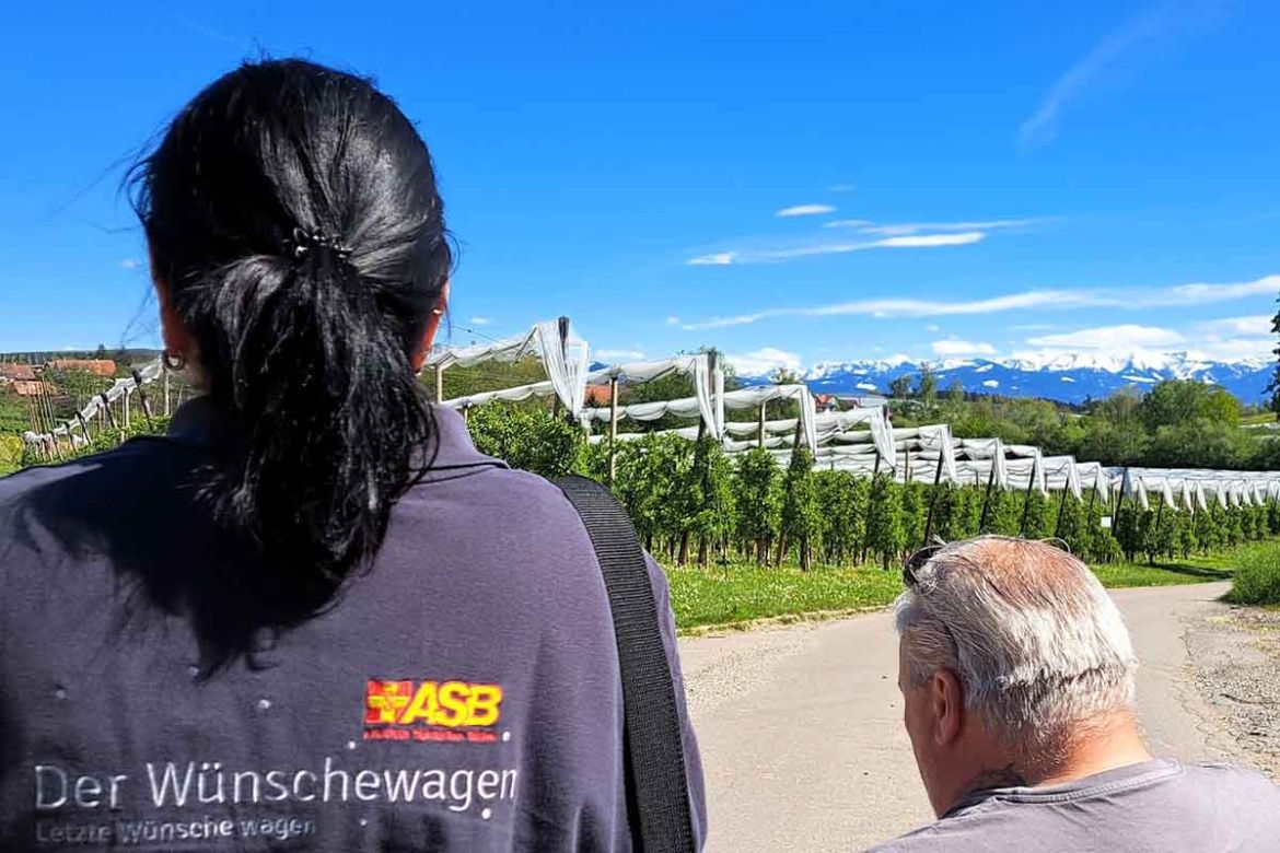 Blick auf die Weinberge.jpg