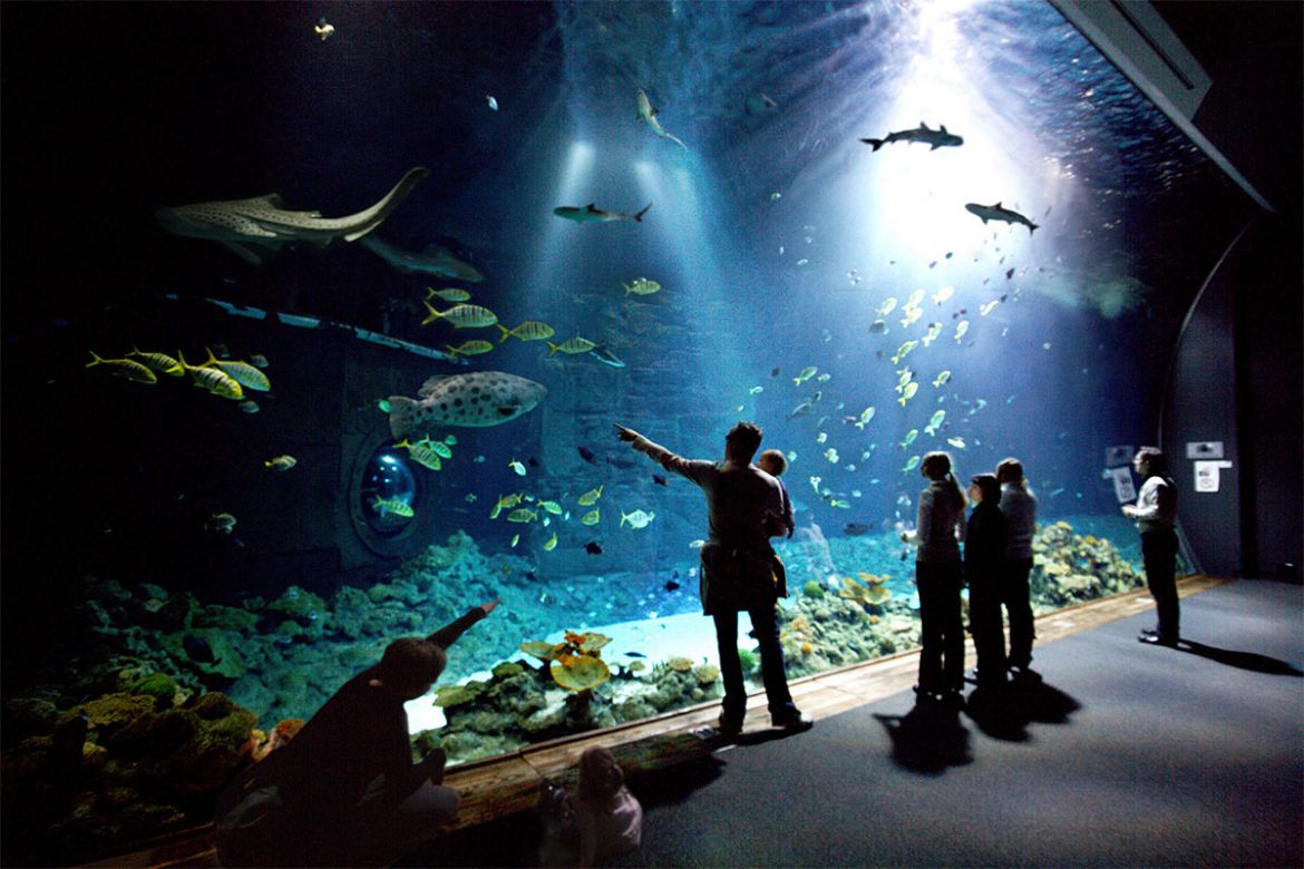 Tropen-Aquarium2.jpg