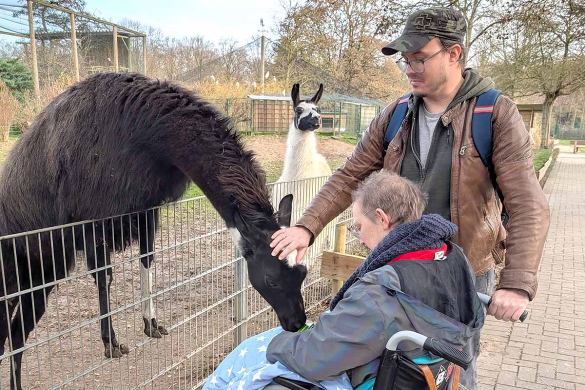 Lamas streicheln.jpg