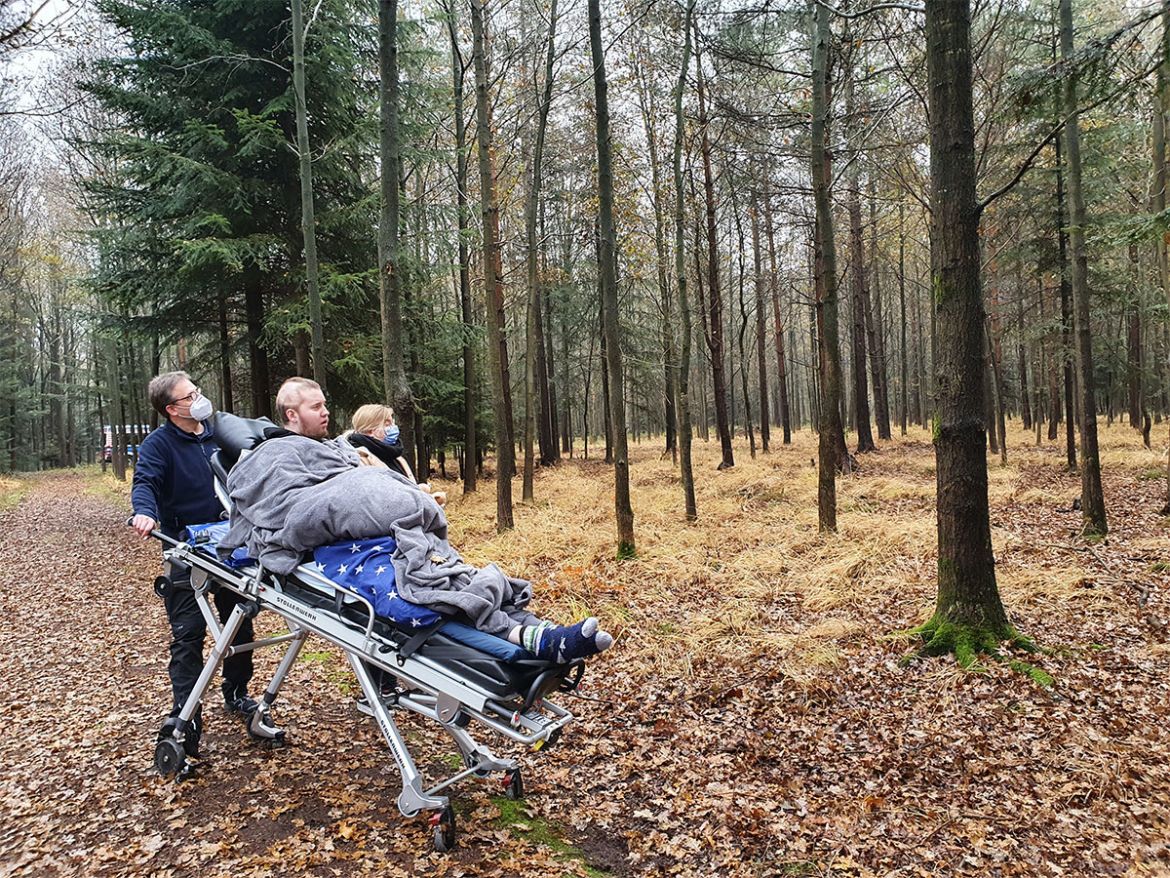 Friedwald-Eiche1.jpg