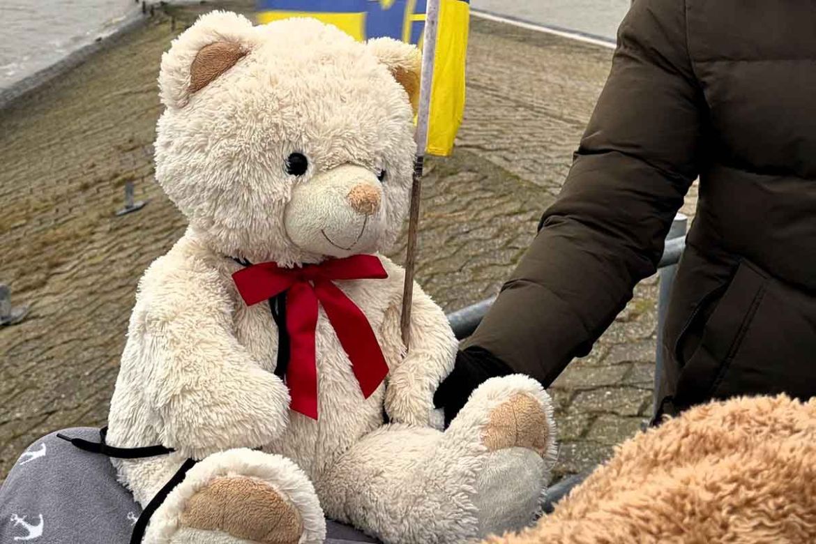 Teddy.jpg