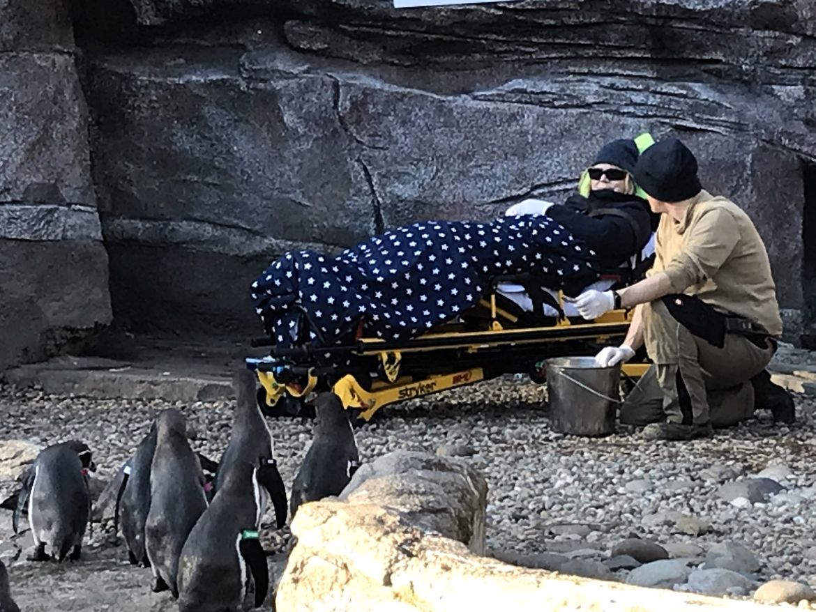 Im Pinguingehege.jpg