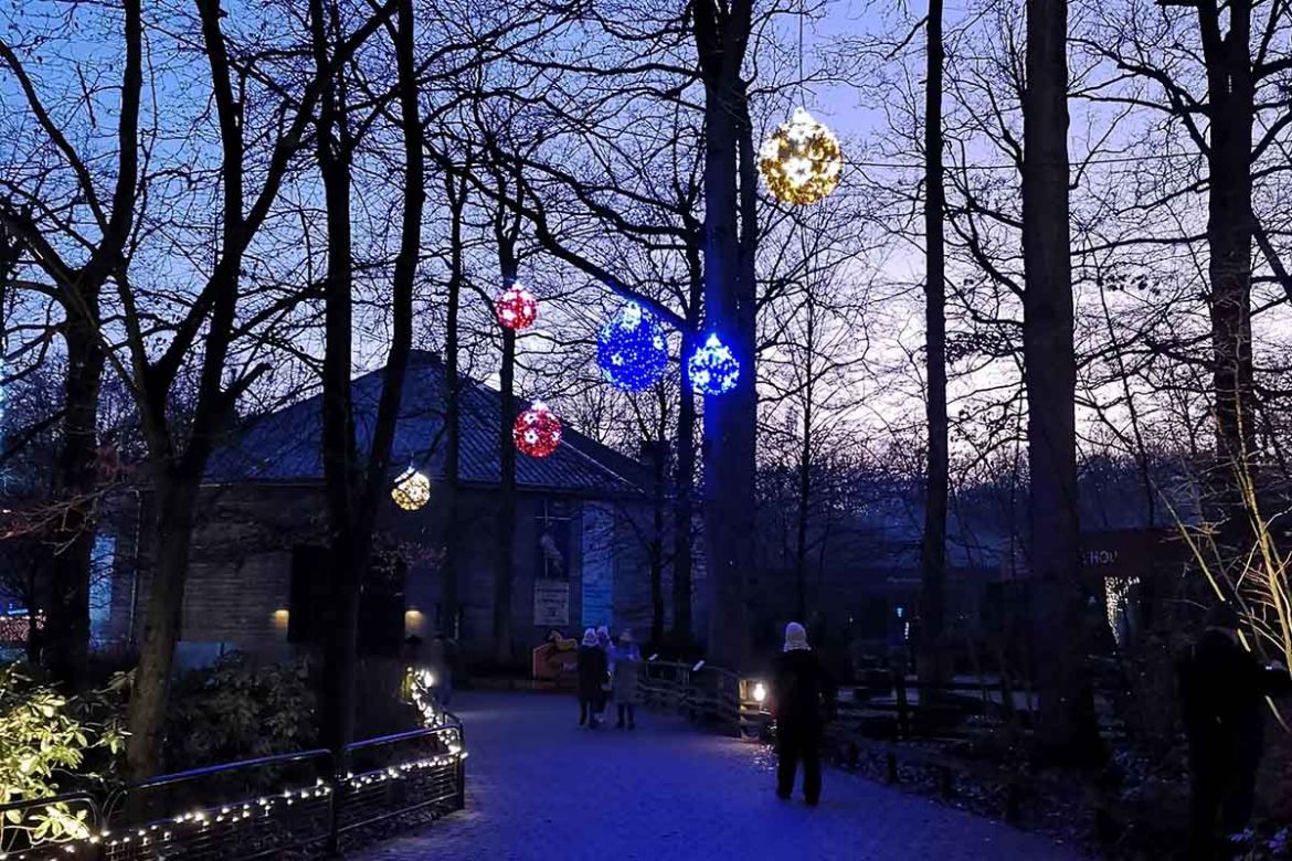 beleuchteter Weg.jpg