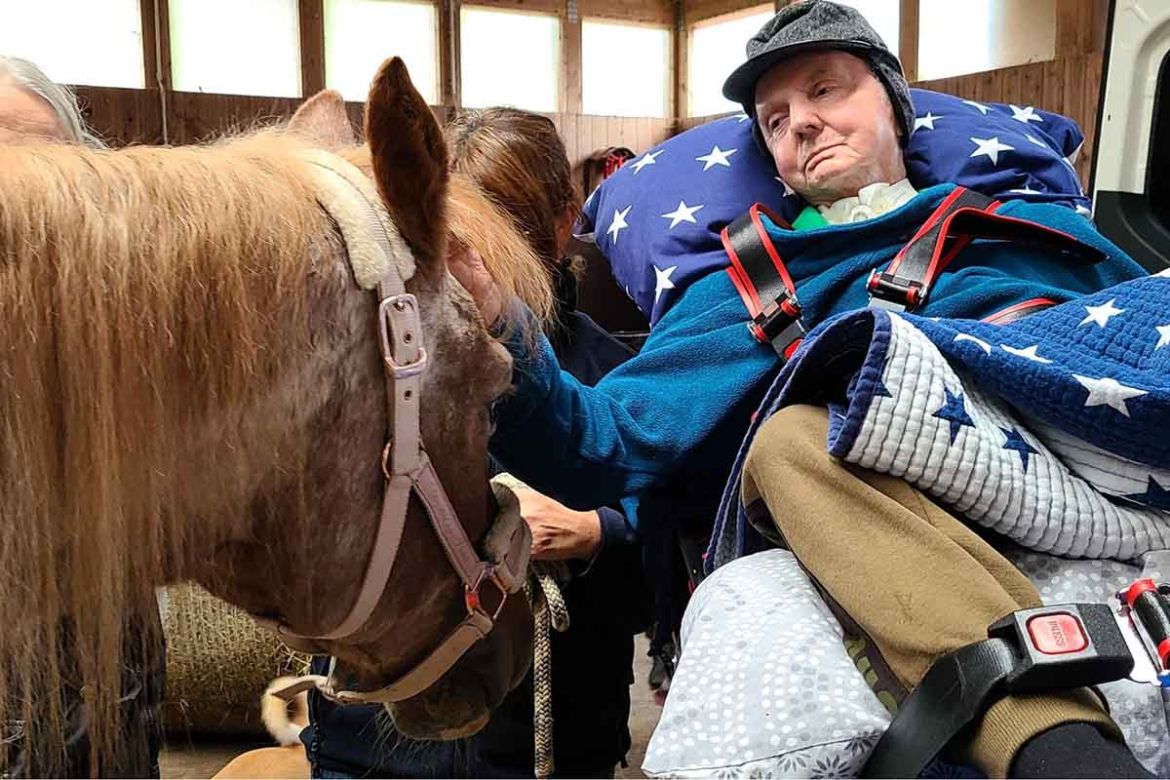 Fahrgast mit Pferd.jpg
