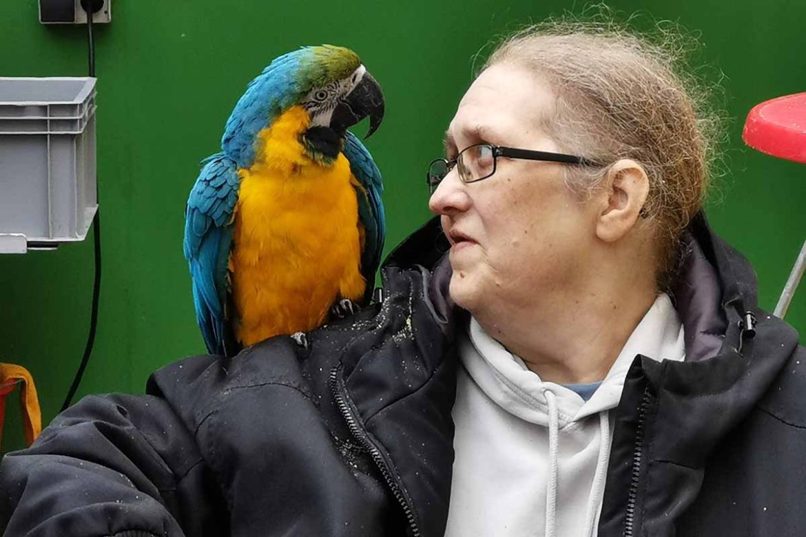 Fahrgast mit Papagei.jpg