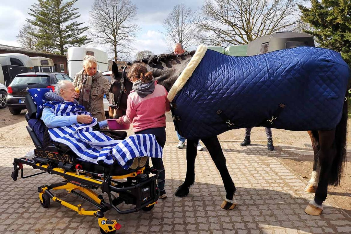 Pferd geht zum Fahrgast.jpg