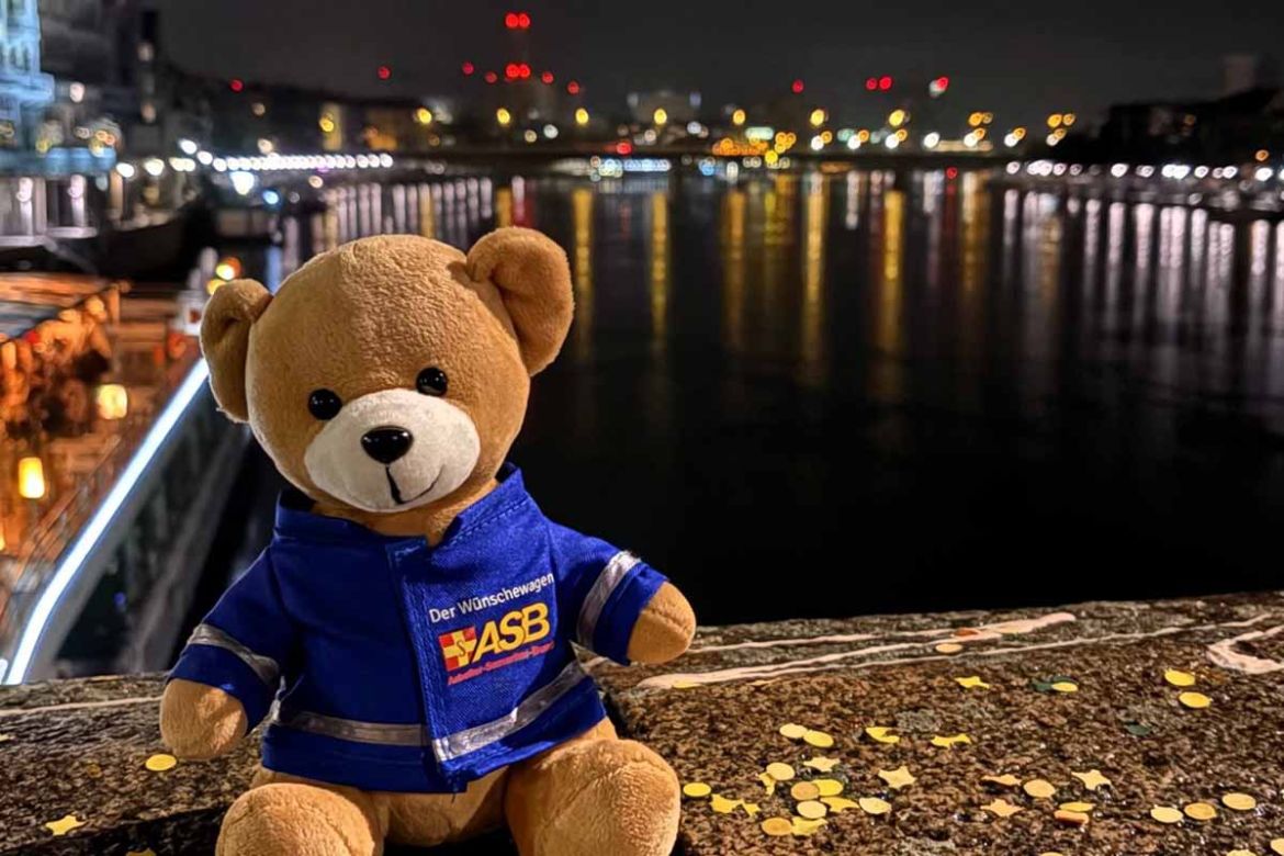 Teddy sitzt auf Mauer.jpg
