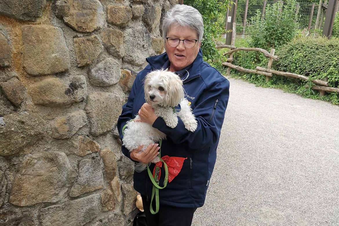 Wunscherfüller mit Hund.jpg