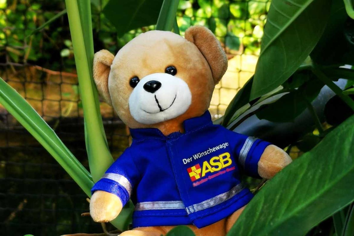 Teddy in Pflanze.jpg