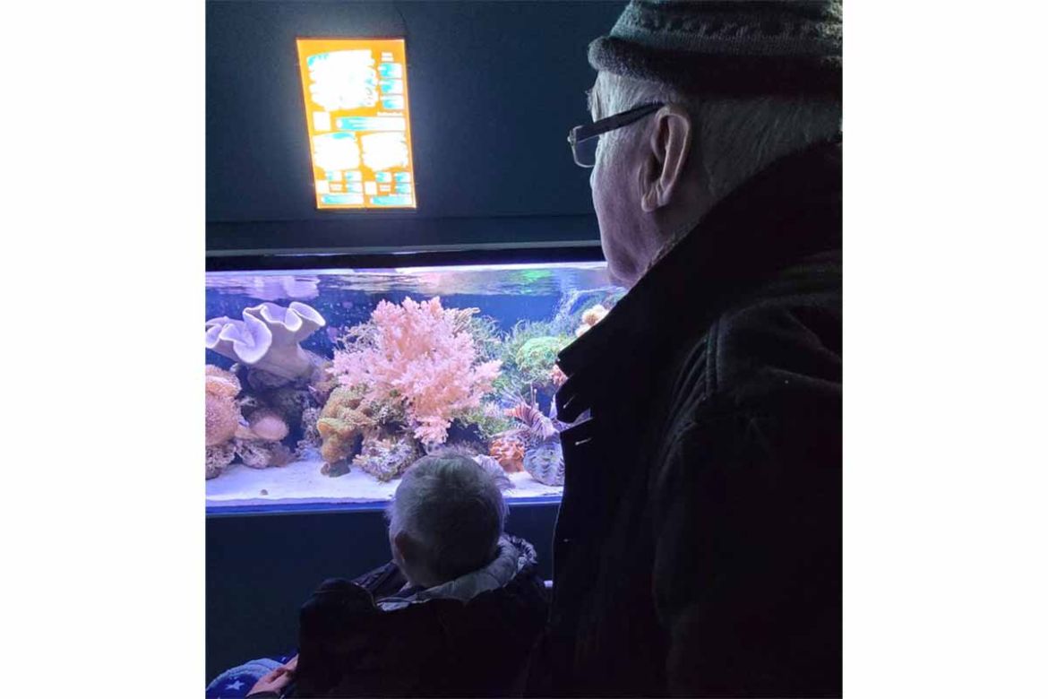 Fahrgast vor Aquarium.jpg