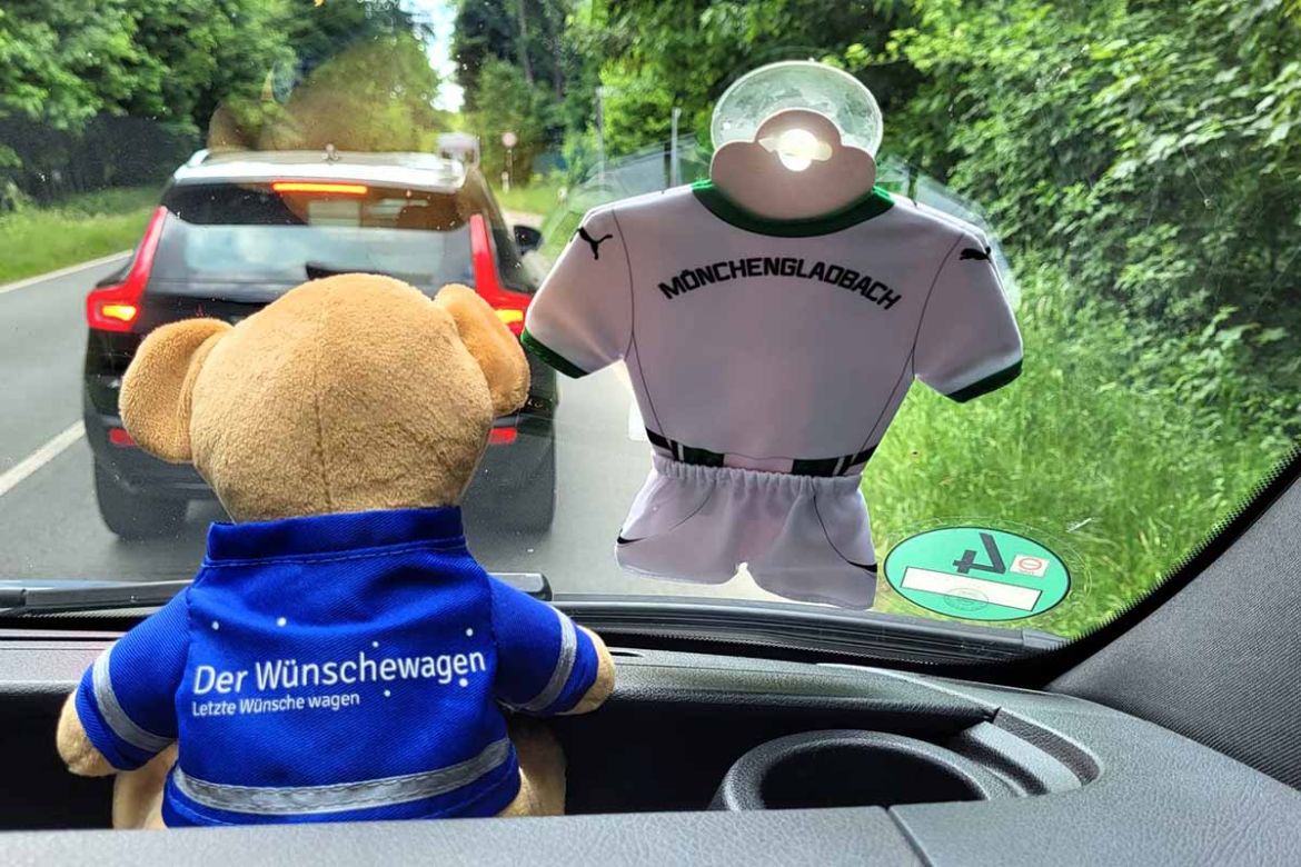 Teddy in Windschutzscheibe.jpg