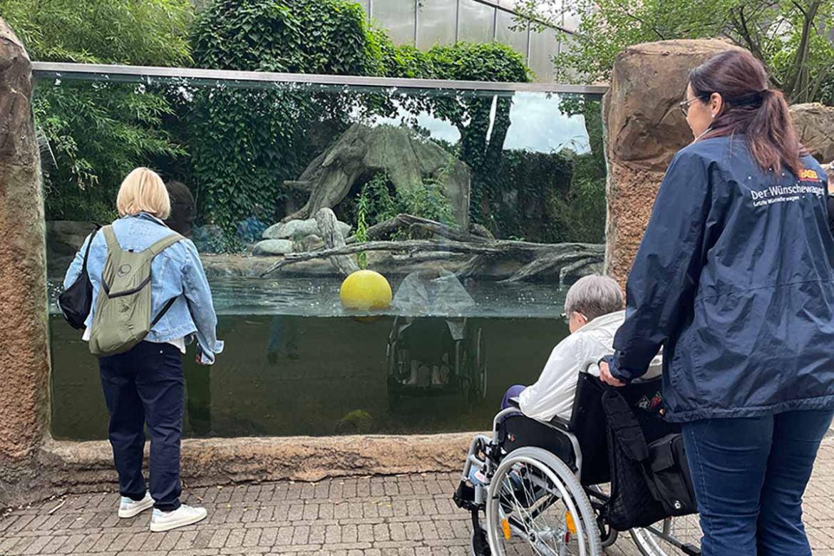 Duisburger Zoo_2.jpg