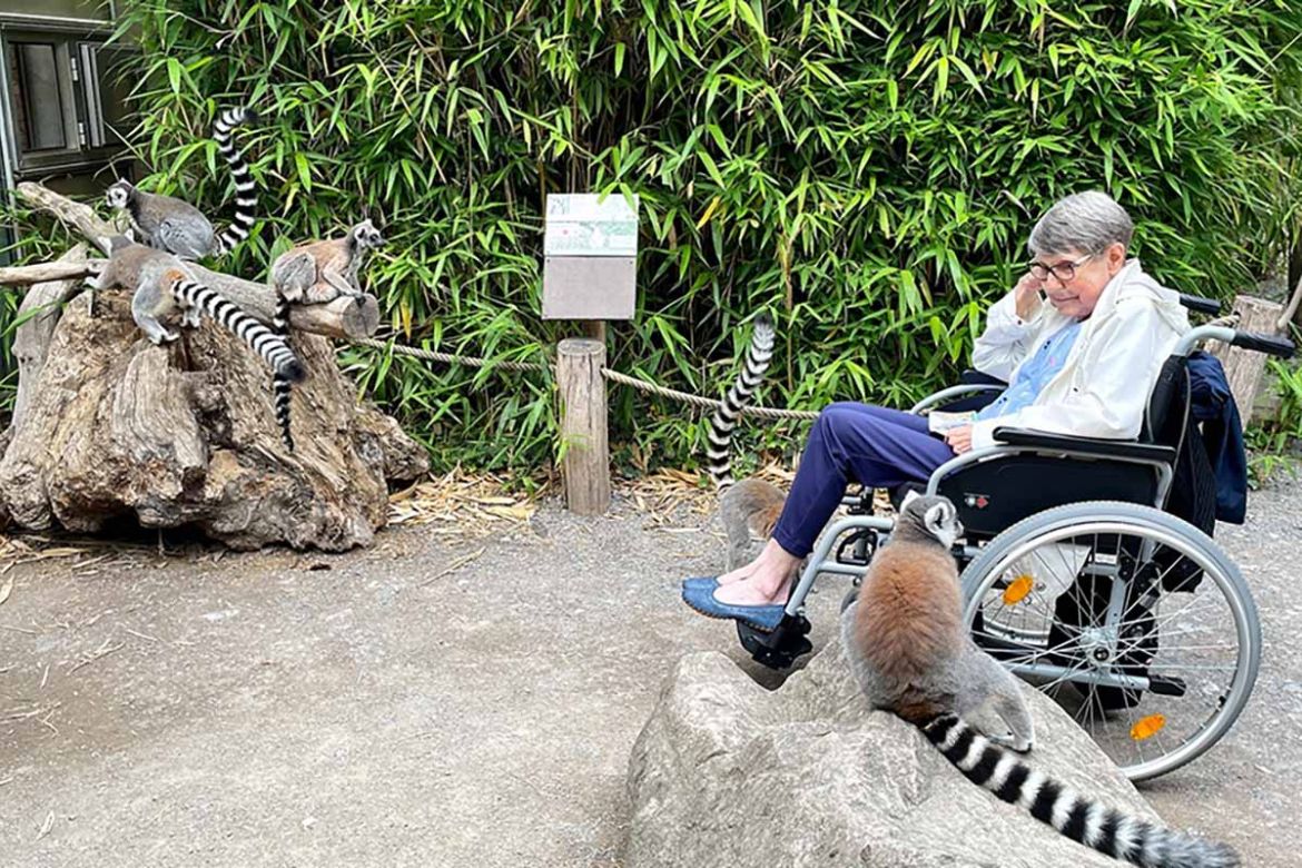 Duisburger Zoo_3.jpg