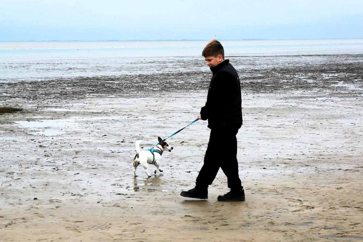 Sohn mit Hund.jpg