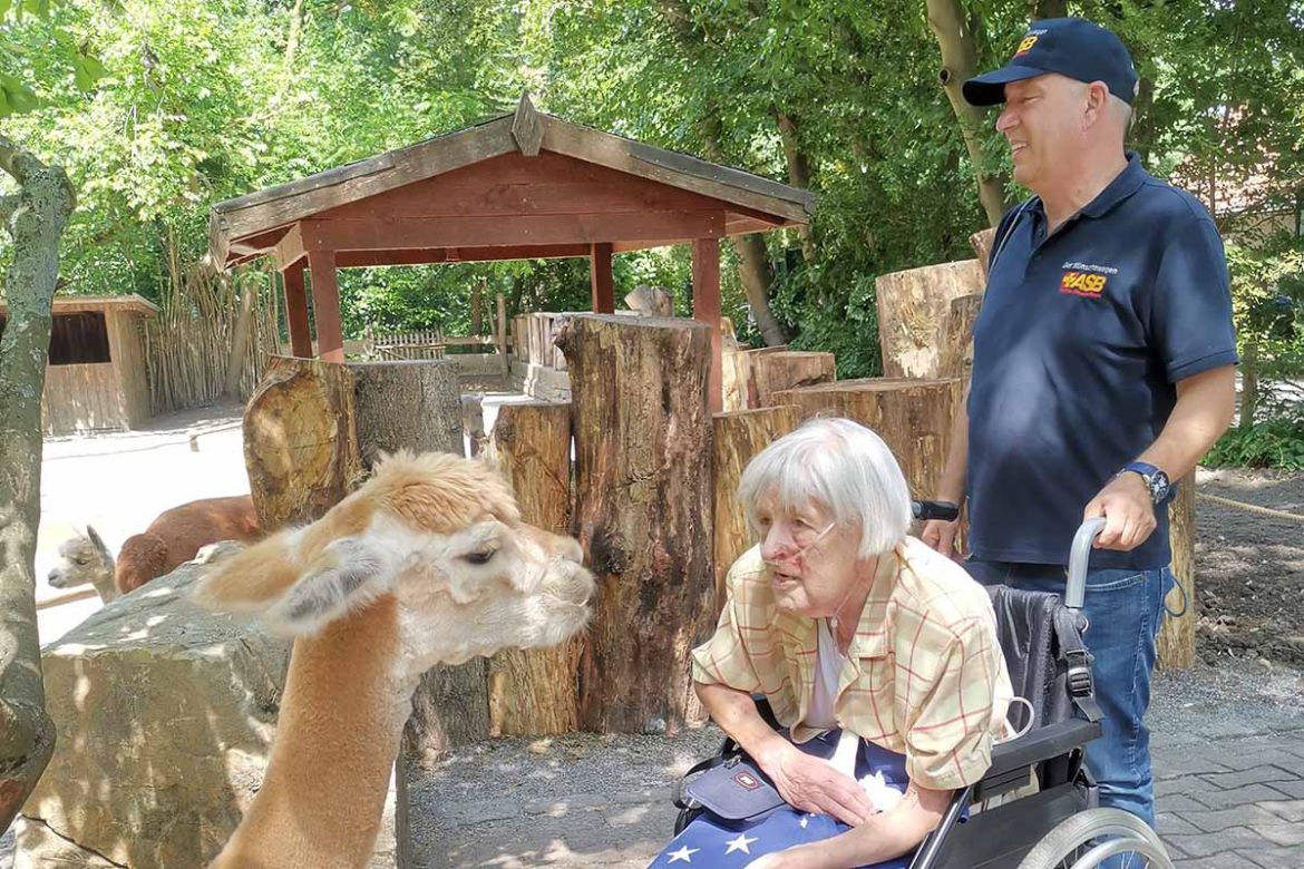 Fahrgast mit Lama.jpg