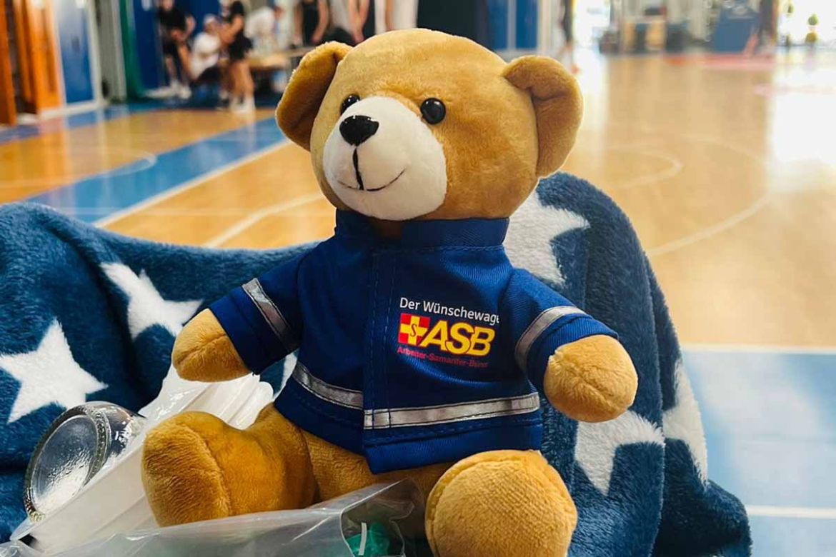 Teddy in Basketballhalle.jpg